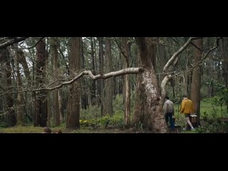 don't let him go / holding the man (2015, australia)